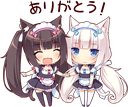 :$(neko_56)